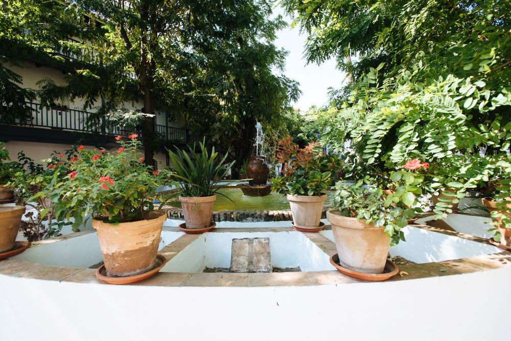 Apartamentos corral del Conde